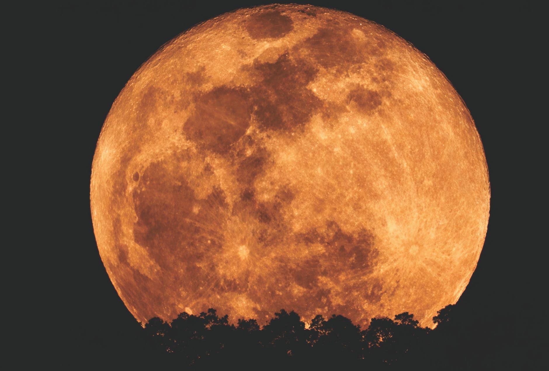 The Strawberry Micromoon 2026: Shedding, Transforming, Discovering, and Creating Balance