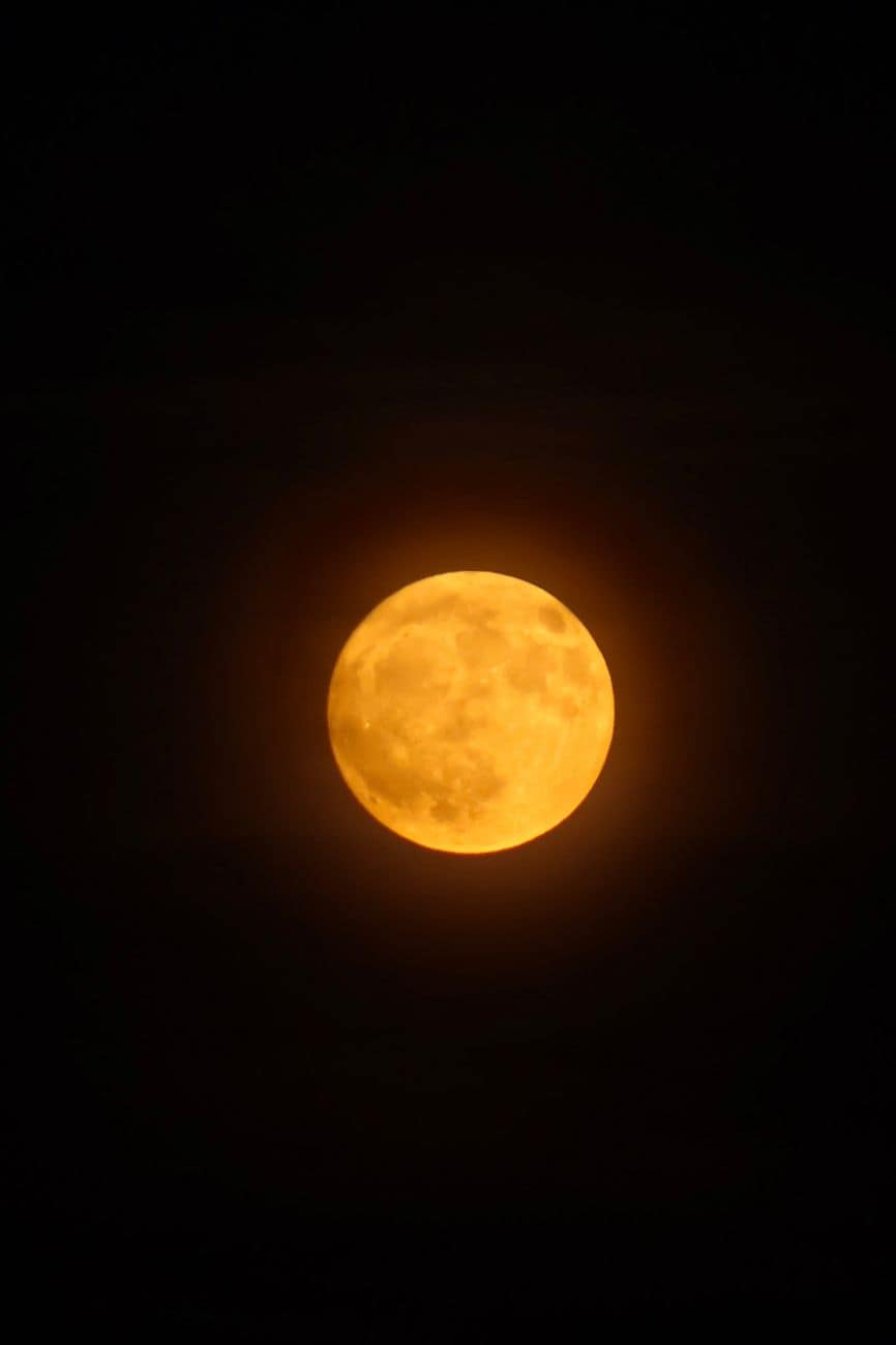 captivating orange full moon in night sky