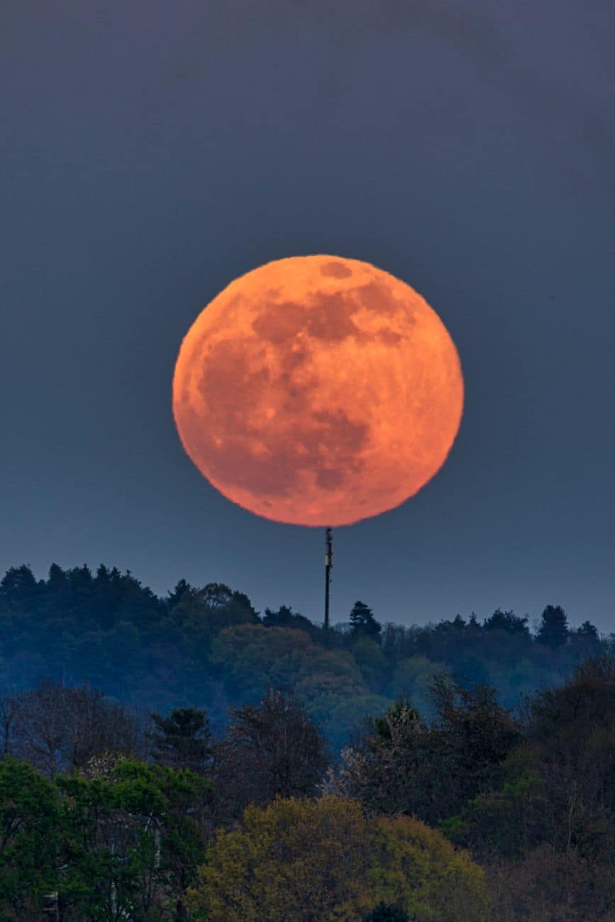 vibrant full moon rising above forest landscape